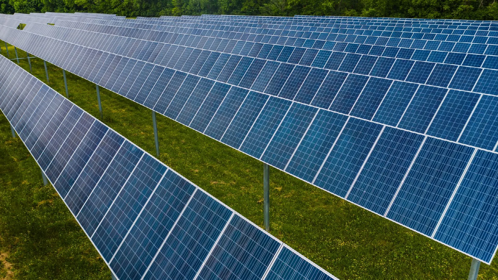 Campo de paneles solares sobre césped